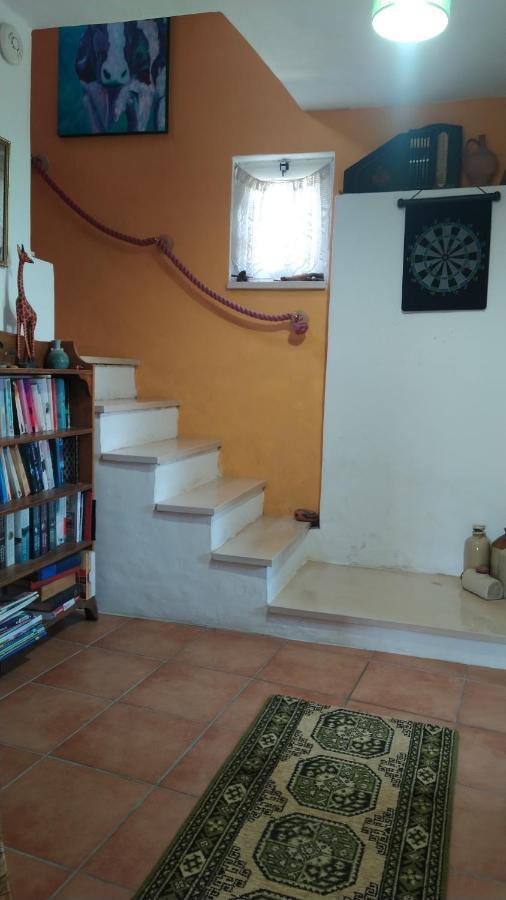 Casa Da Casimira Villa Miranda do Corvo Bagian luar foto